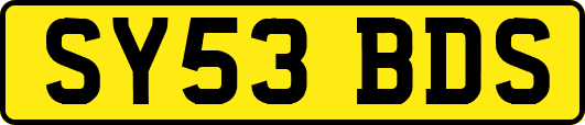 SY53BDS