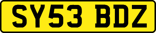 SY53BDZ