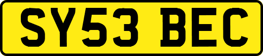 SY53BEC