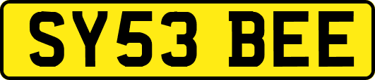 SY53BEE