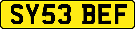 SY53BEF