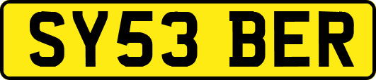 SY53BER