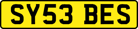 SY53BES