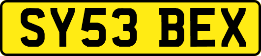 SY53BEX