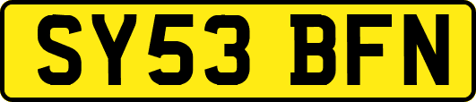 SY53BFN