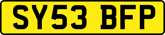 SY53BFP