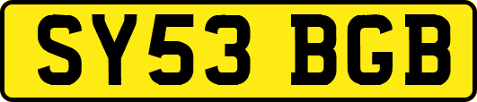 SY53BGB