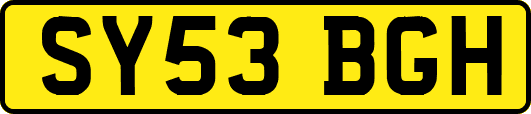SY53BGH