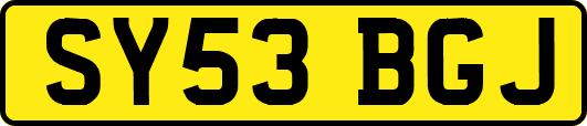 SY53BGJ