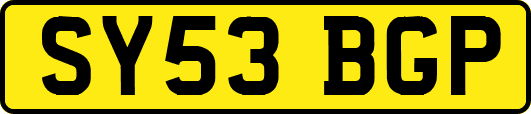 SY53BGP
