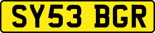 SY53BGR