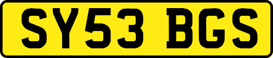 SY53BGS
