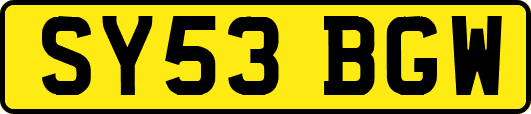 SY53BGW