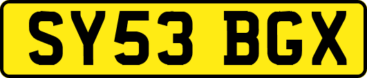 SY53BGX