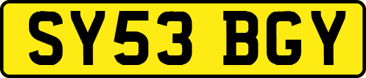 SY53BGY