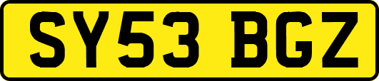 SY53BGZ