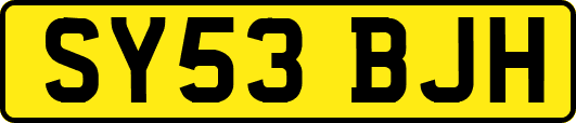SY53BJH