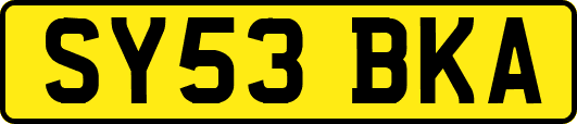 SY53BKA