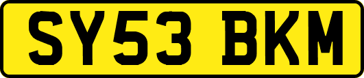 SY53BKM