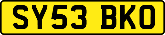 SY53BKO