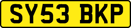 SY53BKP