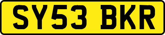 SY53BKR