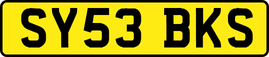 SY53BKS