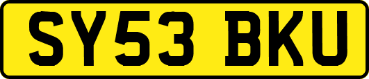 SY53BKU