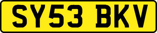 SY53BKV