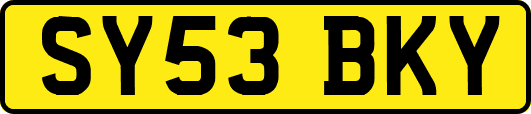 SY53BKY