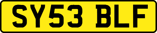 SY53BLF
