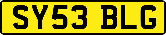 SY53BLG