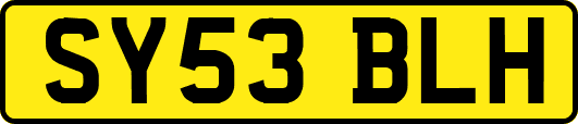 SY53BLH