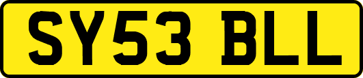 SY53BLL