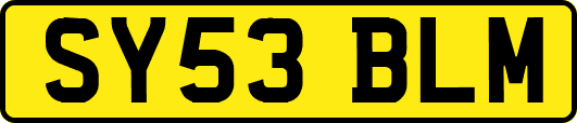 SY53BLM
