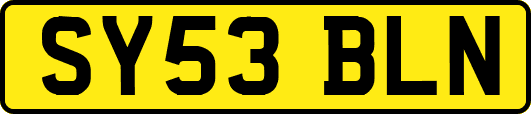 SY53BLN