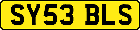 SY53BLS