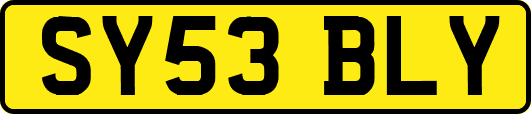 SY53BLY