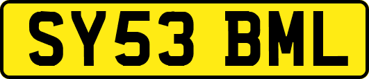SY53BML