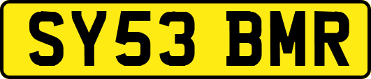 SY53BMR