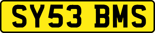 SY53BMS