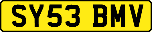 SY53BMV