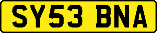 SY53BNA