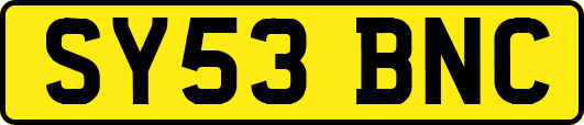 SY53BNC