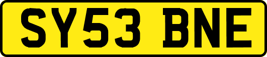SY53BNE
