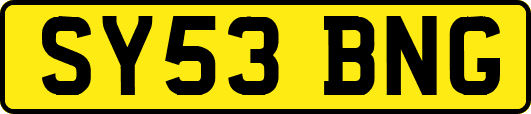 SY53BNG