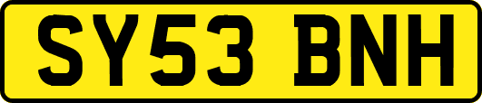 SY53BNH