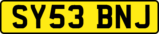 SY53BNJ