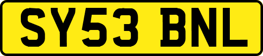 SY53BNL