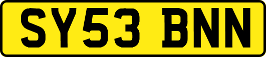 SY53BNN